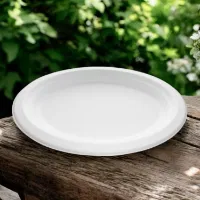 10.5inch x 8inch Bagasse Oval Plate 1